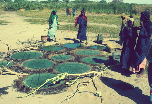 Le peuple Kanembou récolte la spiruline au bord du lac Tchad et la fait séchée dans le sable au soleil