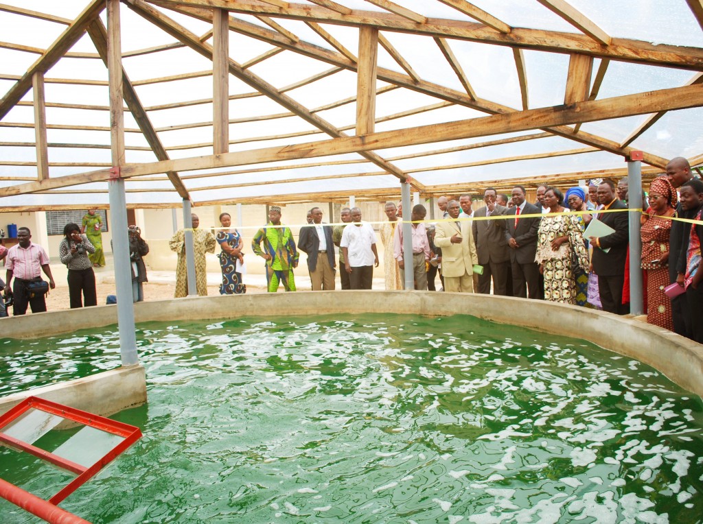 Inauguration d'un bassin de spiruline au Bénin