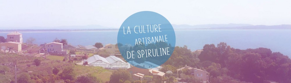 Culture artisanale de spiruline chez Spiruline de Provence