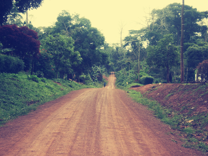 route de terre au Cameroun