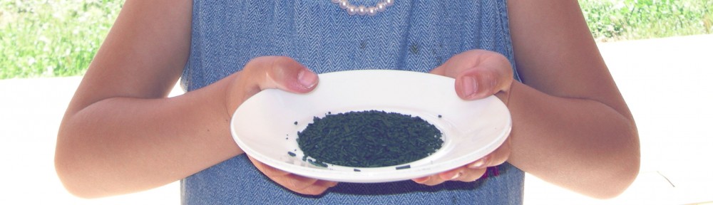 La spiruline pour tous
